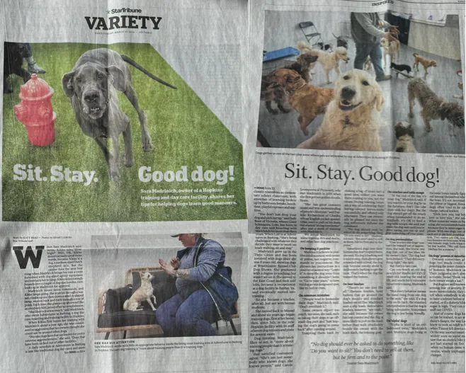 adventure-is-barking-star-tribune-3-15-24.webp